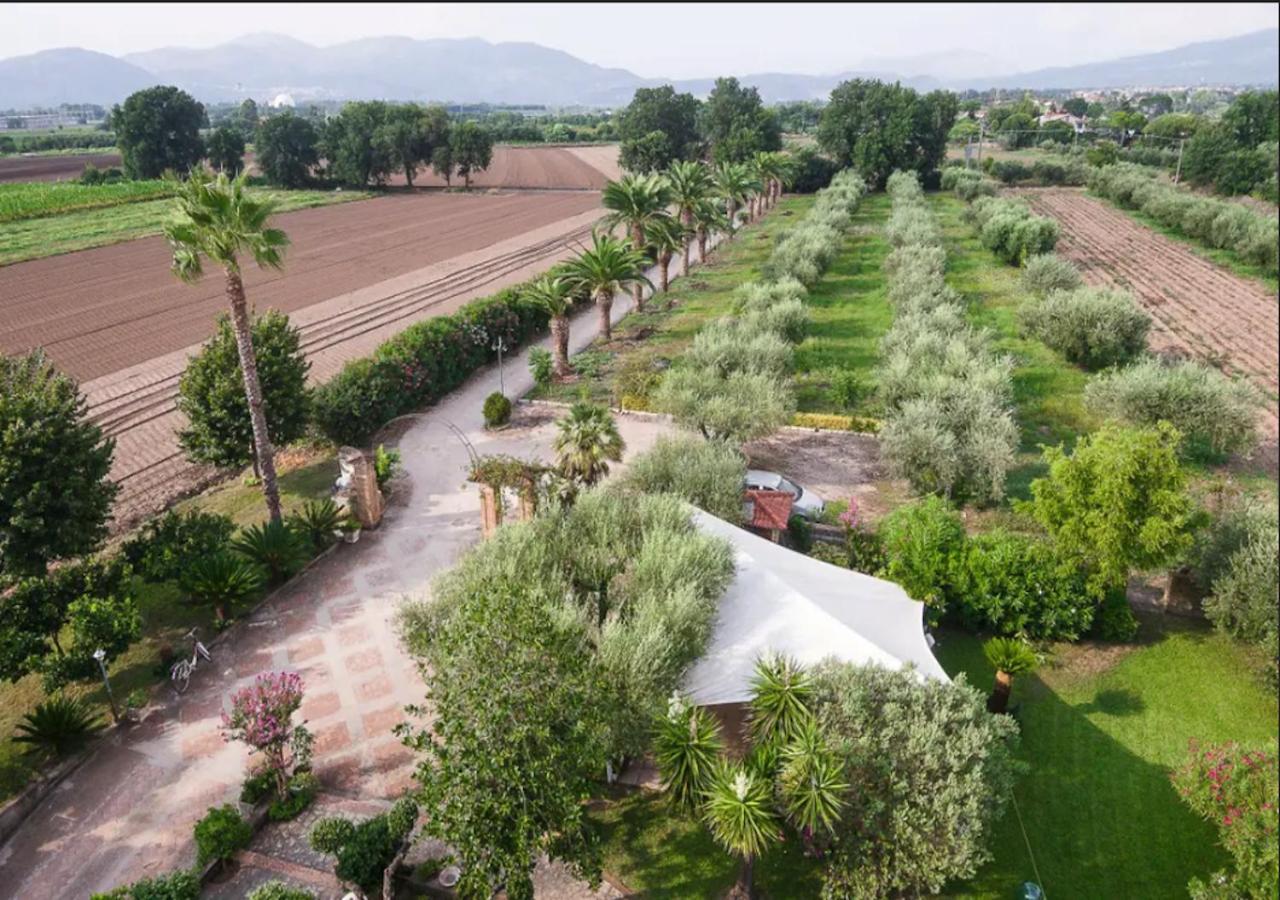 Villa Rosa Lifestyle B&B Sessa Aurunca Extérieur photo