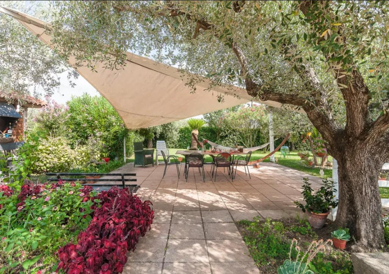 Villa Rosa Lifestyle B&B Sessa Aurunca Extérieur photo