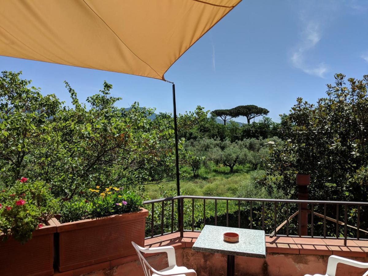 Villa Rosa Lifestyle B&B Sessa Aurunca Extérieur photo